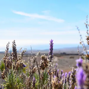 https://casa-amanecer-ii.in-canary-islands.com
